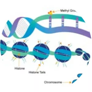 Epigenetics - Field of study