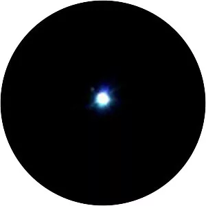 Epsilon Canis Majoris