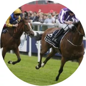 Epsom Oaks - 