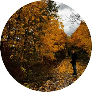 Epta Astera - Musical group