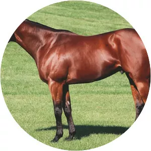 Equiano