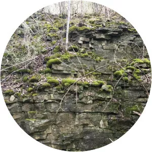 Eramosa River Trail - 