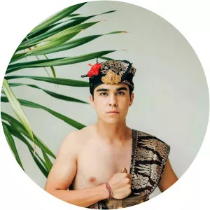 Erdin Werdrayana Wijaya