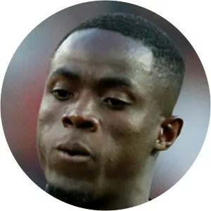 Eric Bertrand Bailly