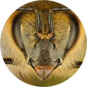 Eric Tourneret - French photographer