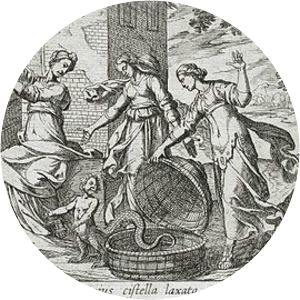 Erichthonius photograph