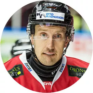 Erik Andersson Politician - Swedish Politician