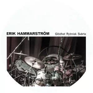Erik Hammarström - Musical artist