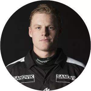 Erik Pettersson - Bandy, born 1995