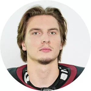 Eriks Vitols - Ice hockey player