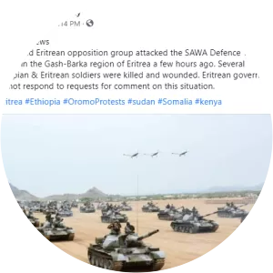 Eritrean Defence Forces