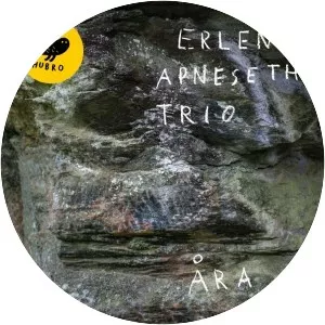 Erlend Apneseth Trio