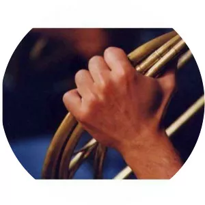 Ermes Pecchinini Musician