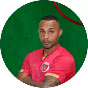 Ermínio Santana Lopes