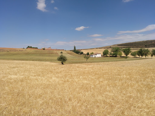 Ermita Virgen Soledad