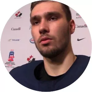 Ernest Bokroš - Slovak ice hockey player