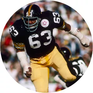 Ernie Holmes - American football player