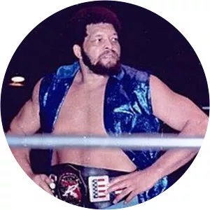 Ernie Ladd