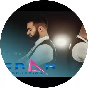 Ervin Gonxhi - Musical artist