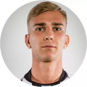 Erwin Softic - Football player