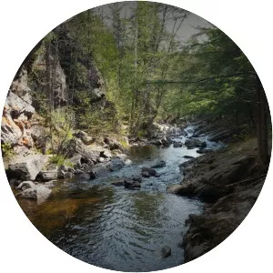 Escanaba River State Forest - 