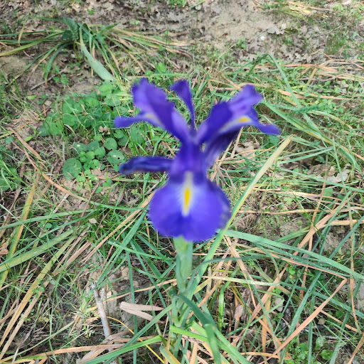 Escuela de Actividades Naturales - Amusement center in Madrid, Spain