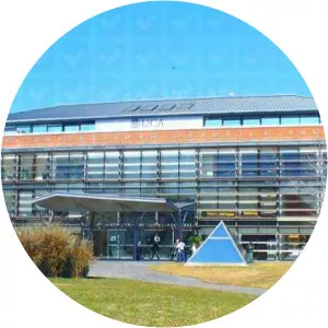 Escuela de Negocios UCABuenos Aires