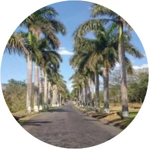 Escuintla - Municipality in Guatemala