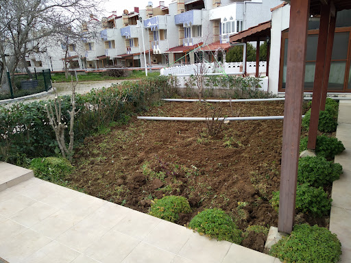 Esim Sitesi - 