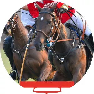 ESPN PoloSince 2018 - 2018 ‧ 1 season