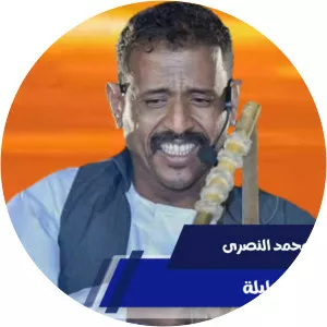 essam mohammed nour mohamed alnasri