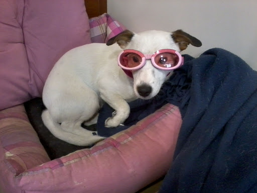 Esse Effe Ottica - Optician in Serravalle Scrivia, Italy