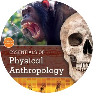 Essentials of physical anthropology - Textbook by Lynn Kilgore, Robert Jurmain, and Wenda Trevathan