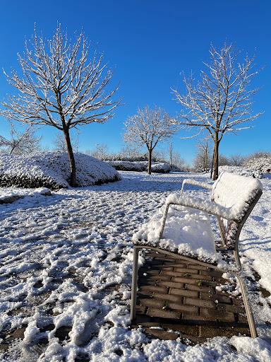 Estanque seco del Parque