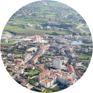 Estarreja - Municipality in Portugal