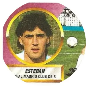 Esteban Gutiérrez Fernández