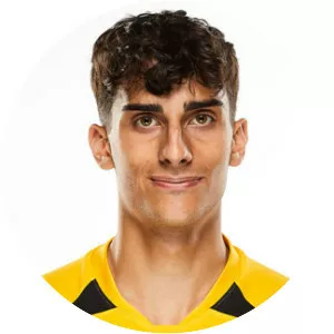 Esteban Petignat - Swiss football player