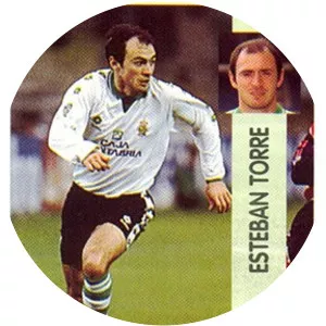 Esteban Torre Ontañón