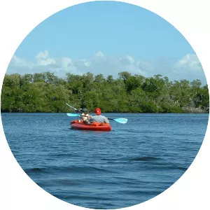Estero Bay - Estuary in Florida