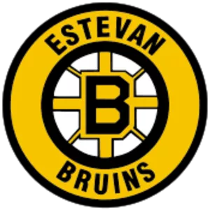 Estevan Bruins
