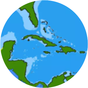 Estuarine sea catfish - 