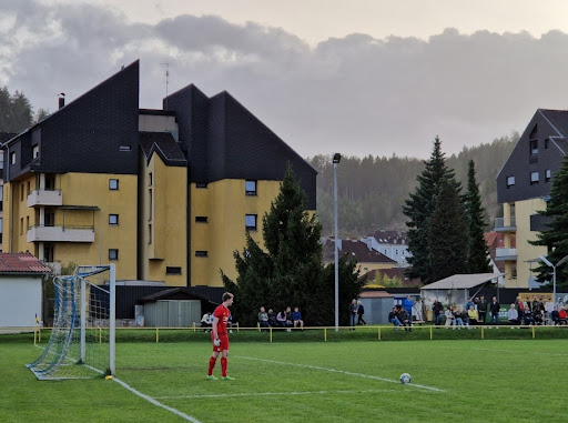 ESV Leoben - Sports club in Leoben, Austria