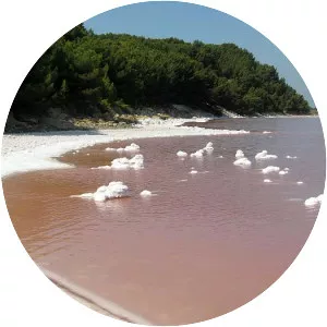 Étang d'Engrenier - 