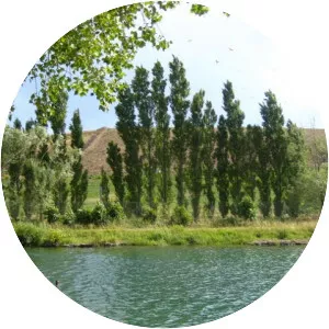 Étang d'Entressen - 