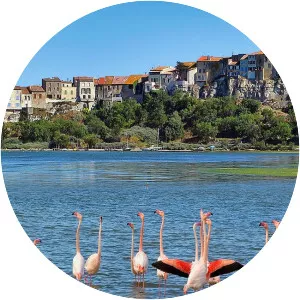 Étang de Bages-Sigean