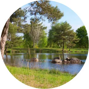 Étang de la Marette - Lake in France