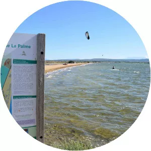 Étang de la Palme - 