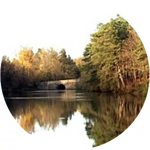 Étang du Coupe-Gorge - 