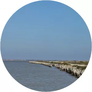 Étang du Fangassier - Lake in France