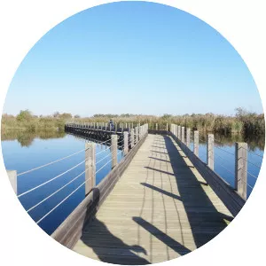 Étang du Méjean - Pond in France